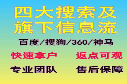 SEM广告投放的技巧与策略——成功案例分享